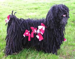 Beautiful black long haired puli dog picture. Puli Dog Wikipedia