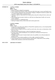 casino cashier resume samples velvet jobs