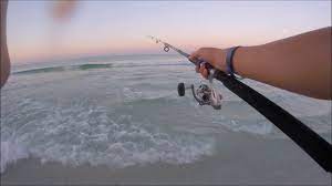 Florida fishing licenses are required for all residents between 16 and 64 years of age. Surf Fishing In Destin Florida Nonstop Action Youtube