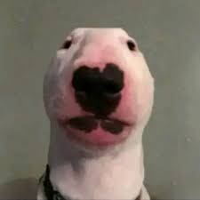 Adam Carty (@johncea22)