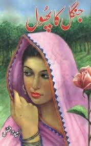 List of Saeeda Afzal Novels
