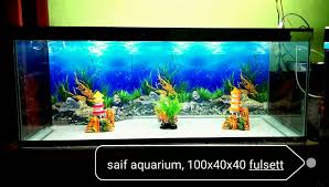 Selalu mengganti air laut minimal 10 % setiap minggu. Saif Aquarium Home Facebook