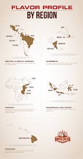 Flavor Profile By Region Coffee Infographic Flavor Profiles Coffee Origin