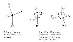 Freebody Diagram Body Diagram Diagram Physics Courses