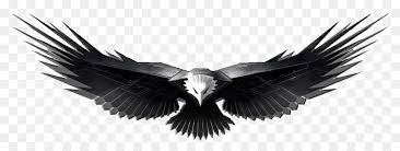 Beşiktaş, kaleci transferinde alman kaleci rene adler'e teklifte bulundu. Bald Eagle Golden Eagle Clipart Adler Png Herunterladen 1022 373 Kostenlos Transparent Adler Png Herunterladen