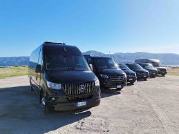 Image result for Verde Night 1982 Fleet