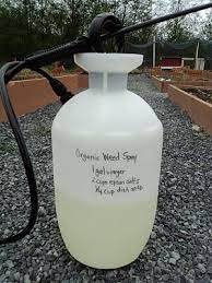 How To Make Your Own Weed Killer For The Home Weed Killer Weed Killer Homemade Weed Spray
