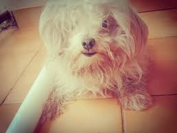 Up to 70% off on apparel, and 15% more on your first order! Diplomatique Literarisches Colloquium Berlin