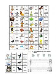 Bird calls that sound like words. Animal Bird Sounds Esl Worksheet By Nica2209