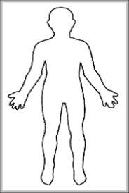 Human Body Outline For Kids 744 X 1160 Anatomy System