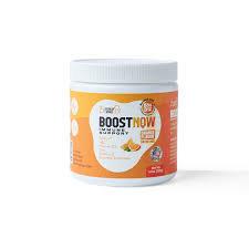BoostNow 14-in-1 Immune Support Capsules with EpiCor and Elderberry
