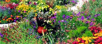 Shop locally with our denver flower and gifts collection. Thunderbird Design Denver Landscaping And Hardscapes Portfolio Hardscape Garden Services Landscape Services