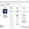 Story image for Artificial Intelligence from EurekAlert (press release)