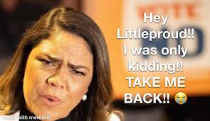 Did Albanese put "Raygun" up to the Olympic Games break-dancing stunt, all  expenses paid? How does our government spend AusAID? (AusAID, The  Australian Agency for International Development)