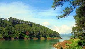 Di tempat ini juga terdapat seperti omah kayu yang bisa dijadikan spot selfie. Ranu Gumbolo Wisata Di Tulungagung Dengan Pemandangan Alam Yang Memesona