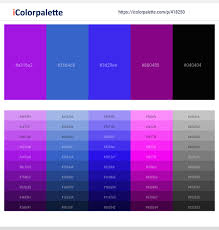 Light red light red light magenta light magenta light purple light purple light blue light blue white light turquoise. 2 Latest Color Schemes With Royal Blue And Dark Magenta Color Tone Combinations 2021 Icolorpalette