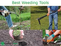 Garden tools can take on more of the heavy lifting of your yard work whether you are preparing, maintaining or cleaning. Best Weeding Tools 2021 Various Types Of Weeder