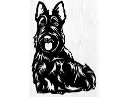 Image result for skotský teriér