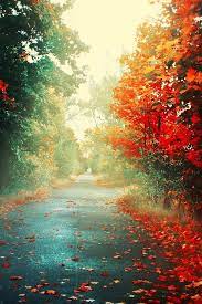 The 1 Iphone4 Nature Wallpaper I Just Shared Fall Wallpaper Nature Wallpaper Beautiful Tree