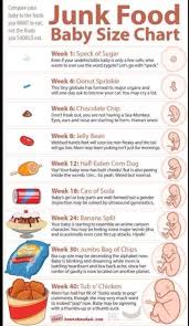 12 most popular pregnancy food size chart