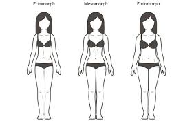Pin On Fitspo Articles To Educate
