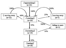 Flow Chart Of The Mating Behavioural Sequences Of S Flava