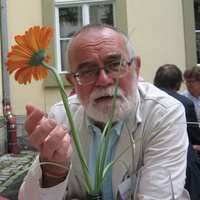 PDF) Hungarian cross-modal priming and treatment of nonsense words supports  the dual-process hypothesis