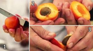 One apricot (35 grams) is approximately 1/4 the size of a small peach (130 grams) (1, 2. How To Pit Apricots Plums Nectarines Other Stone Fruits Like A Chef Food Hacks Wonderhowto