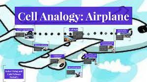 Learn about cell analogy with free interactive flashcards. Cell Analogy Airplane By Kalea Lising