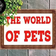 Over the years, pets have evolved from being a strange and wonderful distraction to an integral part of families all over the world. The World Of Pets Pet Life Pet Health Pet Tips And Advice Theworldofpets1 Profile Pinterest