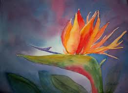 Abstract Bird Of Paradise Watercolor Bird Of Paradise Painting By Sue Kemp Birds Of Paradise Abstract Flower Painting Acrylic Paradise Painting