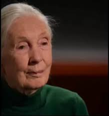 @yashar's video Tweet