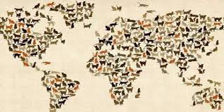 Международным днём кошек является 8 августа. Vsemirnyj Den Koshki 8 Avgusta 2021 Voskresene Kalendarnoe Chislo Kalendar Prazdniki I Sobytiya