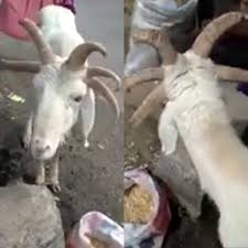 Immortality ain't all it's cracked up to be.sallah to bastet, regarding their former immortality. 6u3ihdlwmmac3m