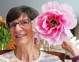 Paeonia suffruticosa —-Japanese variety “Shimanishiki”