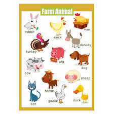 4 Pieces Laminated Educational Preschool Posters For