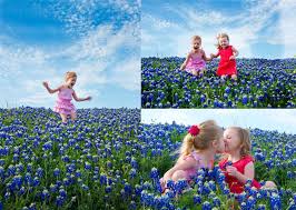 We did not find results for: Bluebonnets In Irving Tx Where To Find Wildflowers