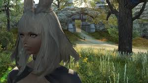 Use to unlock a new hairstyle at the aesthetician. Ffxiv Endwalker How To Unlock The New Female Viera Hairstyles