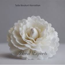 We did not find results for: Sola Wood Flowers I Sola Flowers I Manufacturer I Wholesaler I Exporters