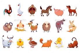 Set Of Farm Animals Pet Birds Farm Animals Animals
