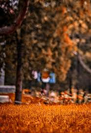 Pin By Aditya Verma On P Photo Background Images Hd Best Background Images Background Images Hd