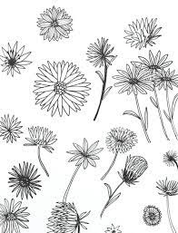 Illustration Aster Flowers Beautiful Tattoos Tattoo Birth Flower Tattoos Flower Sketches Aster Flower Tattoos
