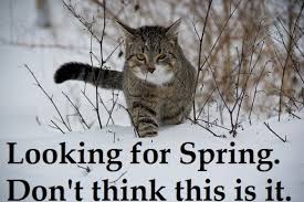 I Love Loveland Got Any Good Colorado Spring Snow Memes Facebook