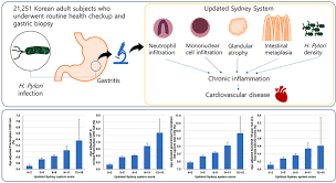 If people consider the numerous dangers to their health that smoking can cause, they may think twice about. Association Between Histological Severity Of Helicobacter Pylori Infection And Cardiovascular Risk Scores In The Korean Population Atherosclerosis