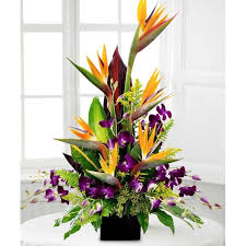 Maybe you would like to learn more about one of these? Exotic Enchante Tropical D Elegance Florist Florist Houston Texas Florist Memorial Area