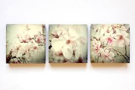 Magnolia Foto Trio Auf Holz 12 X 12 Holz Fotos Magnolien