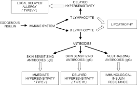 Allergy Reactions To Insulin Effects Of Continuous Subcutaneous Insulin Infusion And Insulin Analogues Radermecker 2007 Diabetes Metabolism Research And Reviews Wiley Online Library