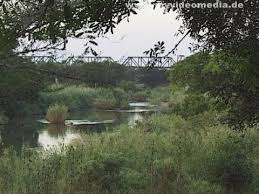 Pin By Myvideomedia On The How To Self Learning Videos Online Africa Travel South Africa Travel Kruger National Park