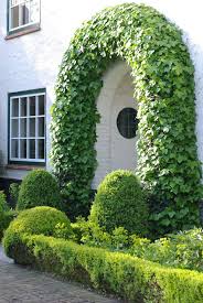 Plaidoyer Pour Le Lierre La Terre Est Un Jardin En 2020 Arbustes A Feuillage Persistant Lierre Plante Rampante