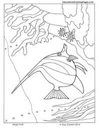 Mix together cold and warm colors, dark and bright. 68 Coloring Fish Ideas Coloring Pages Colouring Pages Coloring Books